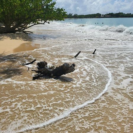 Апартаменты Sud Madinina - Sainte Anne Экстерьер фото